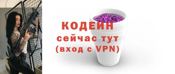 PSILOCYBIN Кодинск