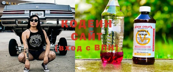 PSILOCYBIN Кодинск