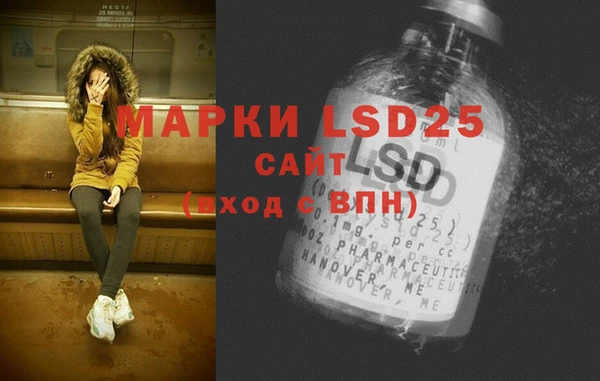 PSILOCYBIN Кодинск